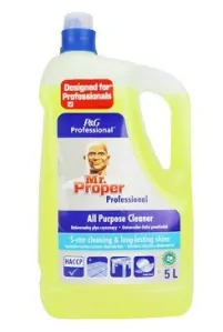 Mr. Proper proffesional 5 L (doprodej)
